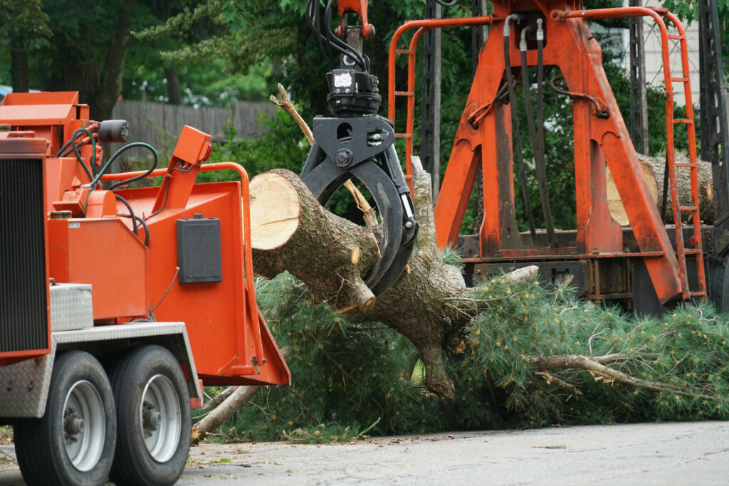 Sotil Tree Service - Professional Tree Maintenance for Residential and Commercial Customers